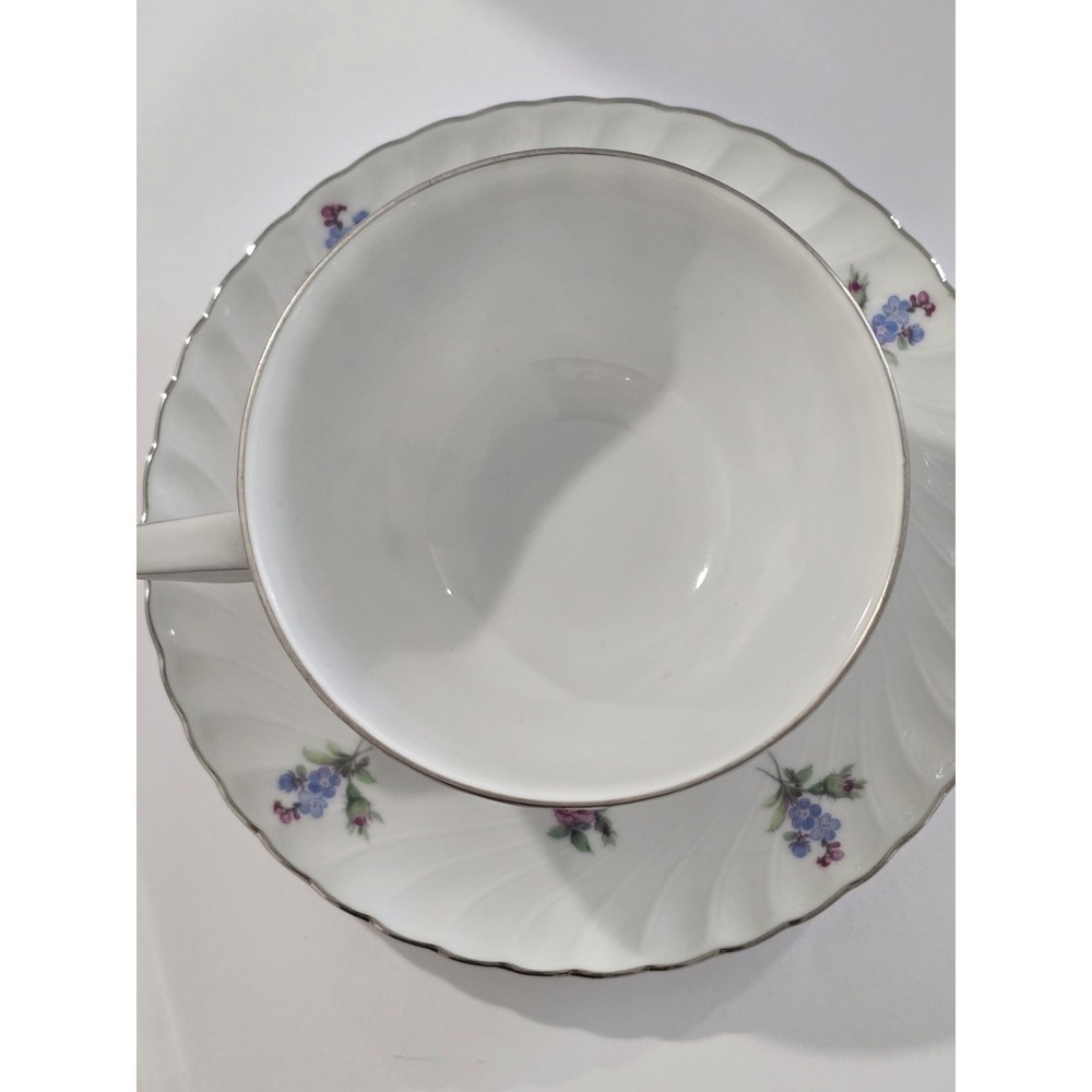 Vintage Royal Tettau Dresden Flowers Platinum Trim Footed Cup & Saucer - Picture 3 of 5